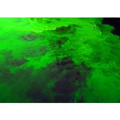 Divesoft Fluorescein 'lost at sea' emergency marker dye