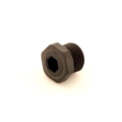 PG7 Nylon Blanking Plug