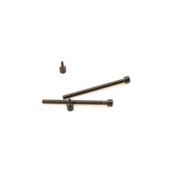 Teric Strap Screw Set